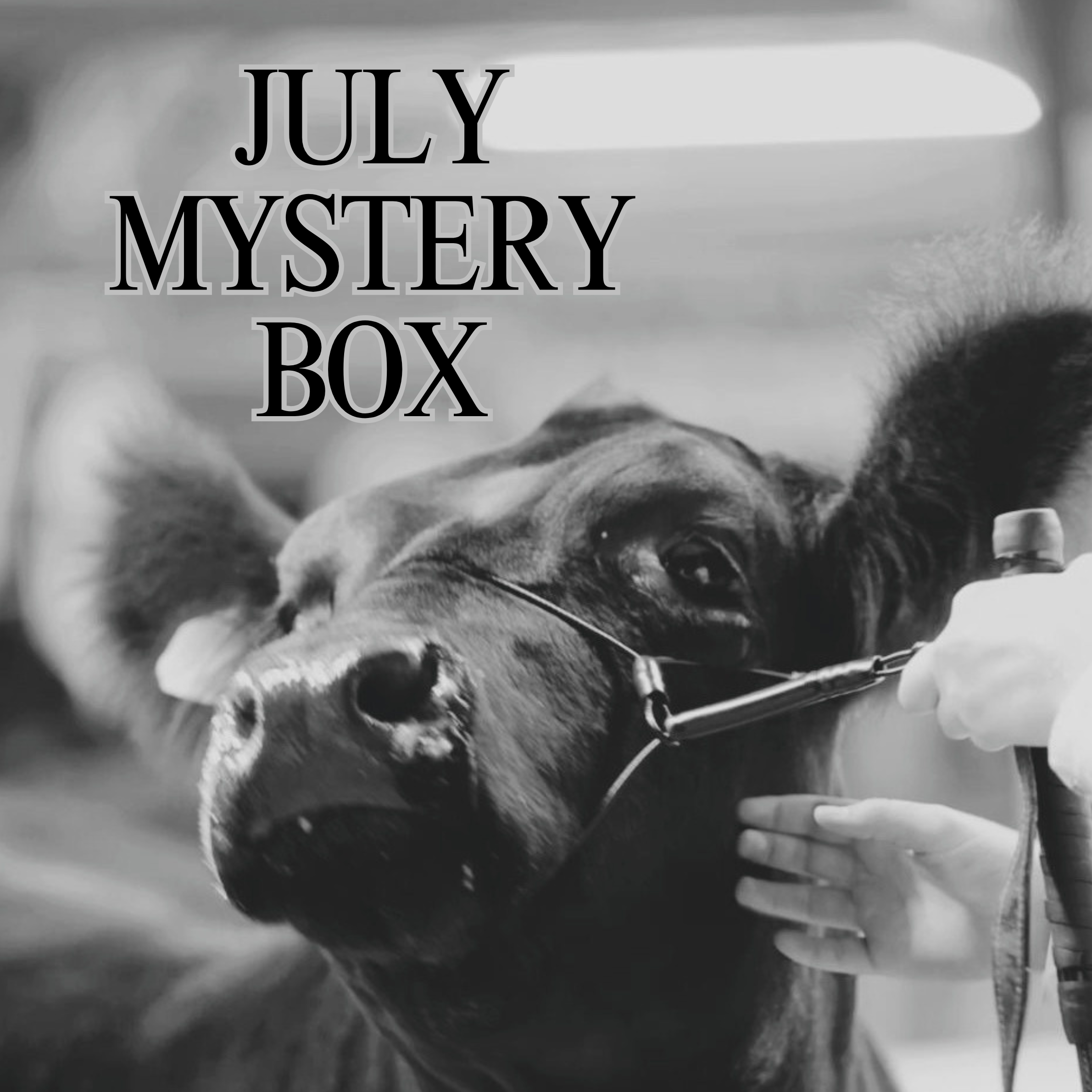 JULY MYSTERY BOX